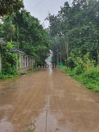 Hình ảnh Ngân hàng dí nợ cần bán gấp miếng đất ngay ủy ban xã An Thái.