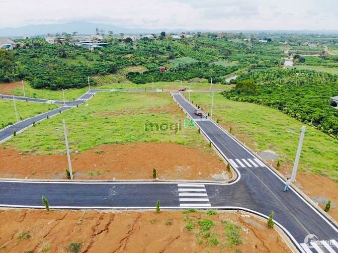 Hình ảnh Đất nghỉ dưỡng Bảo Lộc giá rẻ sổ sẵn chỉ 2,6Tr/m2