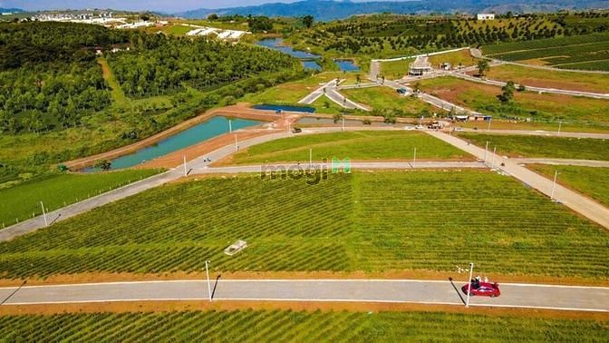 Hình ảnh Đất nghỉ dưỡng Bảo Lộc giá rẻ sổ sẵn chỉ 2,6Tr/m2