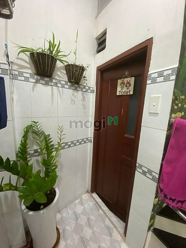 Hình ảnh Bán Nhà Riêng Lạc Long Quân, Tân Bình, 36m2, 3 Tỷ 3, 100 Điểm.