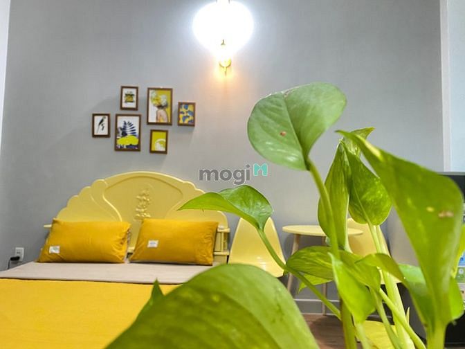 Hình ảnh ☘☘ Studio View LandMark Gần các trường ĐH HUTECH HỒNG BÀNG UEF ☘☘