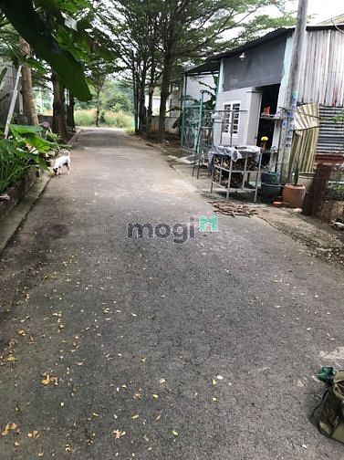 Hình ảnh cần tiền bán gấp đất 100m2 5x20m giá chỉ 1350 tr