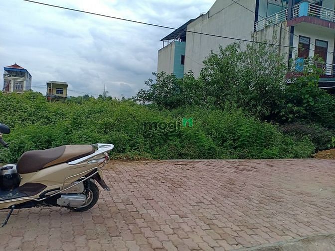 Hình ảnh Chính chủ cần ra 150m tđc Bình Yên mặt đường 420 Hòa Lạc chỉ 6,x tỷ