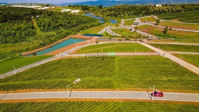 Hình ảnh Bán Lô Đất Bảo Lộc home stay sổ sẵn view cực chill