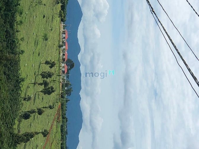Hình ảnh Bán Lô Đất Bảo Lộc home stay sổ sẵn view cực chill
