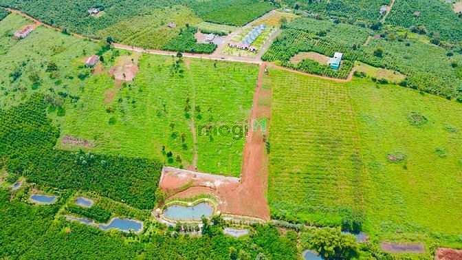 Hình ảnh Bán Lô Đất Bảo Lộc home stay sổ sẵn view cực chill