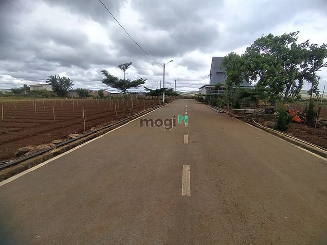 Hình ảnh Bán đất TT Liên Nghĩa dt 5x27m cách Tp Đà Lạt chỉ 30km