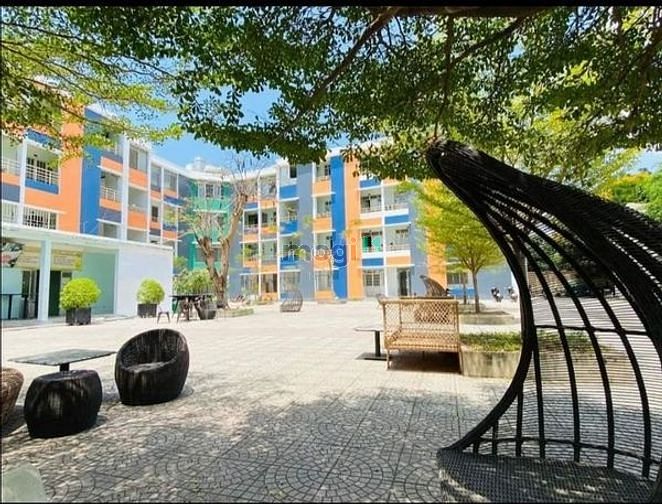 Hình ảnh Cho thuê CHDV studio - Nguyễn Văn Hưởng nhà như hình