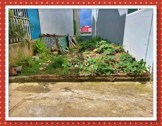 Hình ảnh Bán đất đường nguyên tử lực - phường 8 đà lạt - 70 m2 - giá chỉ 5 tỷ 5