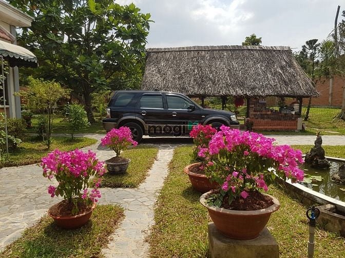 Hình ảnh Biệt Thự Vườn VIP 1300m 20tr Hà Huy Giáp Quận 12