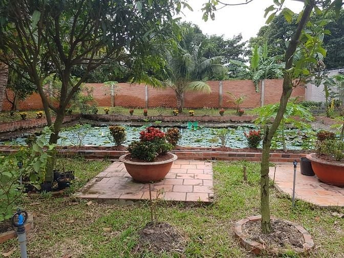 Hình ảnh Biệt Thự Vườn VIP 1300m 20tr Hà Huy Giáp Quận 12