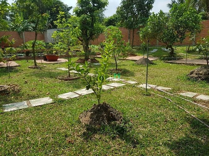 Hình ảnh Biệt Thự Vườn VIP 1300m 20tr Hà Huy Giáp Quận 12
