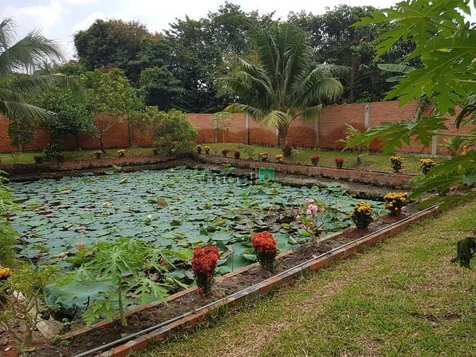 Hình ảnh Biệt Thự Vườn VIP 1300m 20tr Hà Huy Giáp Quận 12