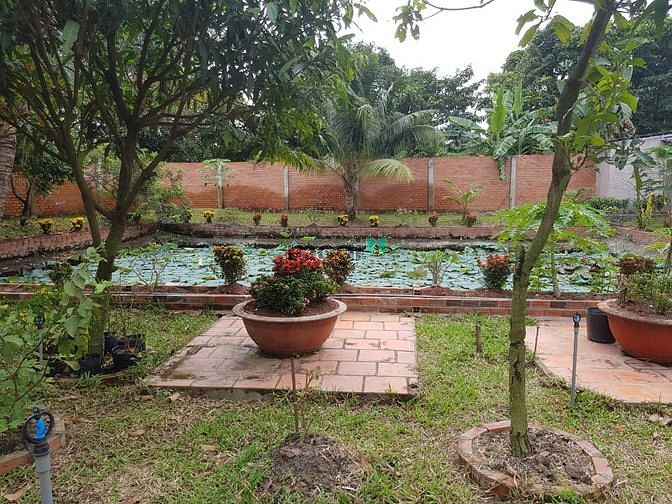 Hình ảnh Cho thuê Biệt Thự Vườn Vip 1300m2 giá 20tr Hà Huy Giáp