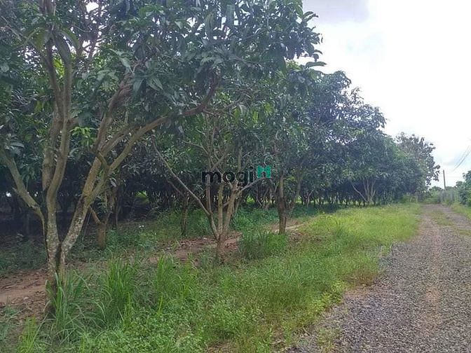 Hình ảnh Bán lô đất giáp suối DT 3200m2, view hồ tặng kèm vườn xoài