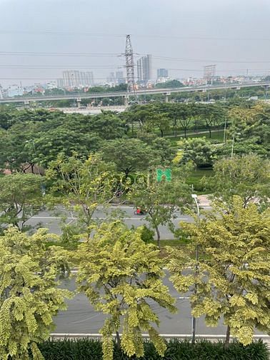 Hình ảnh STUDIO trần não full nội thất mới