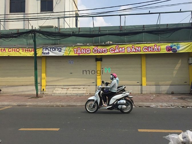 Hình ảnh $Cho thuê MTKD sầm uất đường Độc Lập, gần nhà thờ Martin, 8x25m, 45Tr$