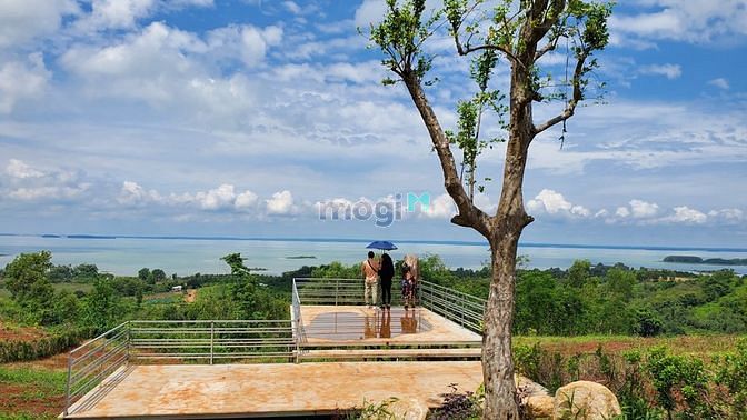 Hình ảnh Bán 1000m2 đất View Hồ Trị An- Đồng Nai