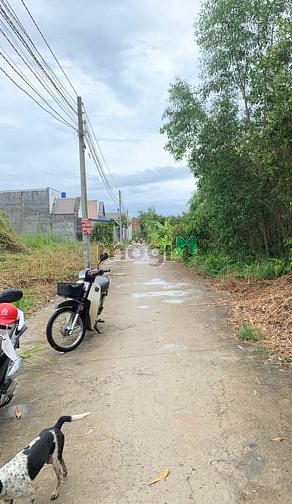 Hình ảnh Bán rẻ đất Hựu Thạnh Đức Hòa 190 m2 Full thổ cư chỉ 1.5 tỉ/nền