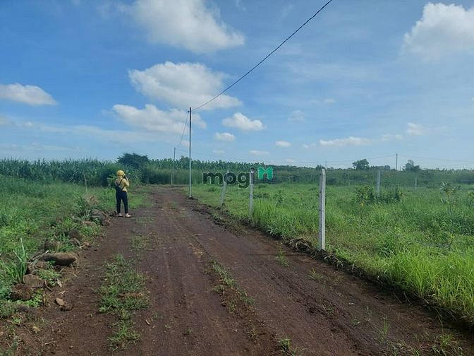 Hình ảnh bán nhanh lô đất có thương lượng