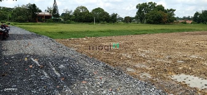 Hình ảnh cần bán gấp đất 100% thổ tại Đức Hòa Hạ - Long An