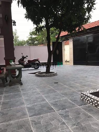 Hình ảnh cho thuê biệt thự phường an phú q2,DT:12x22,DTSD: 400m2,Giá 35tr/tháng