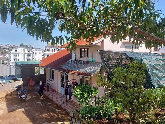 Hình ảnh Bán Đất Biệt Thự Ở Đường Tô Hiến Thành Phường 3 Đà Lạt