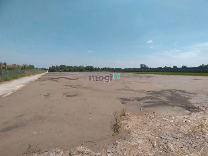 Hình ảnh Bán lô đất 766m2 ngay KCN Cầu Cảng Phước Đông, cách QL50 chưa tới 100m