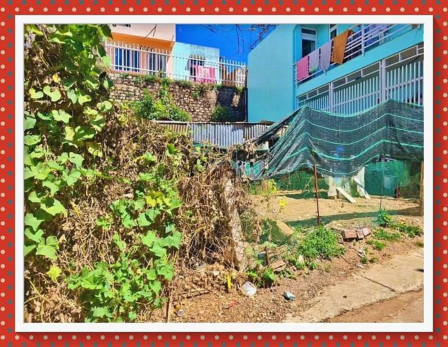 Hình ảnh Bán đất ở kim đồng - phường 6 đà lạt - 87 m2 - giá chỉ 3 tỷ 8