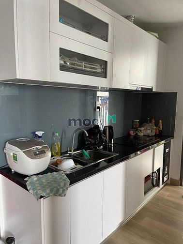 Hình ảnh BÁN Căn Hộ GREEN RIVER Q8 74m2 1ty680