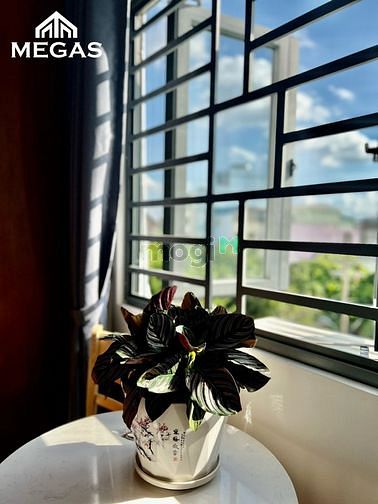 Hình ảnh Chung cư full nội thất tại thống nhất