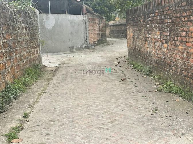 Hình ảnh Bán 60m2 đất Vụ Bản Minh Trí, Sóc Sơn, Hà Nội
