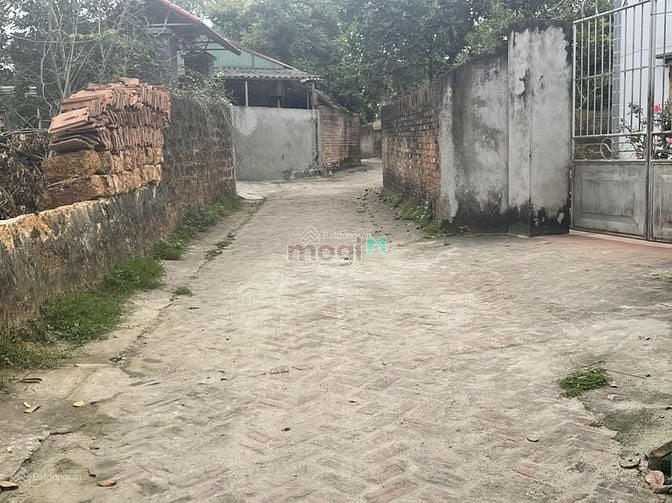 Hình ảnh Bán 60m2 đất Vụ Bản Minh Trí, Sóc Sơn, Hà Nội