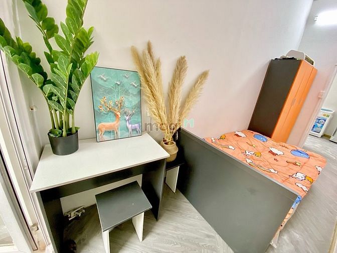 Hình ảnh Cho thuê Trang Chủ MB66.COM / Đăng Ký Tặng 66K 2PN-1PK Trần Đình Xu Quận 1 gần Đại Học Văn Lang
