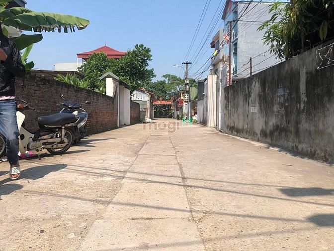 Hình ảnh Chủ gửi cần bán 85m2 đất tại trục chính Thụy Hà, Bắc Hồng, Đông Anh