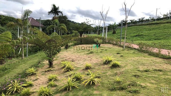 Hình ảnh Đất nền Bảo Lộc sổ sẵn cách trung tâm 3km