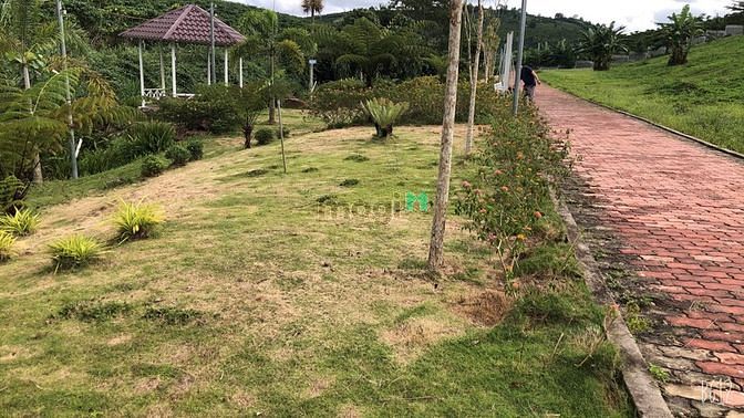 Hình ảnh Đất nền Bảo Lộc sổ sẵn cách trung tâm 3km