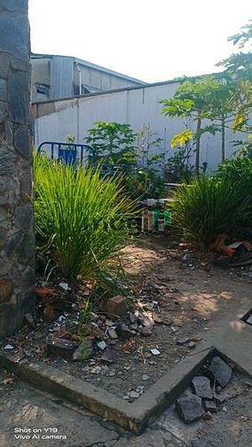 Hình ảnh - cần bán lô đất ngay chợ đêm lái thiêu