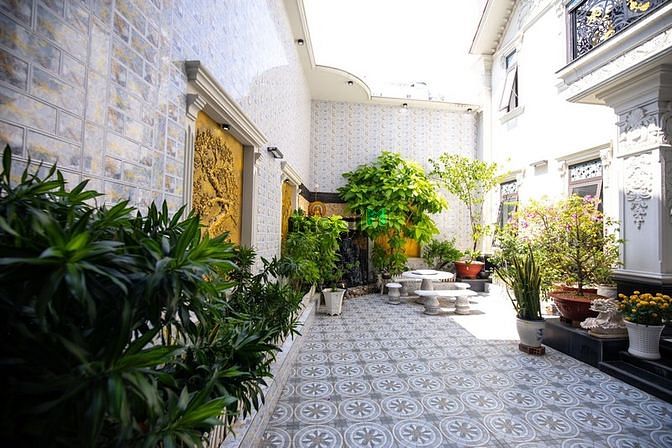 Hình ảnh Biệt thự văn phòng 1000m² Tân Bình. Chỉ 47 tỷ thương lượng.
