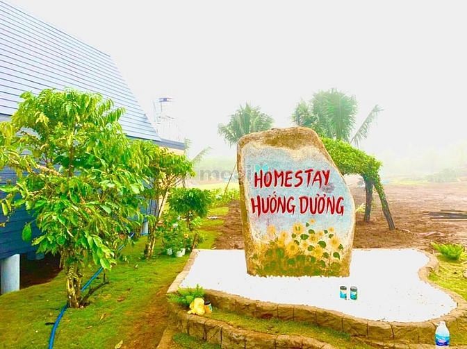 Hình ảnh Đất nền nghỉ dưỡng view sông Sunflower