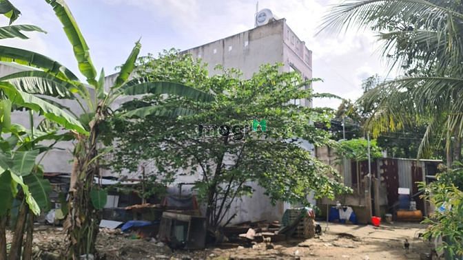 Hình ảnh Đất thổ sổ hồng riêng 2,25 tỷ dt 55,6m2 Thạnh Xuán 51