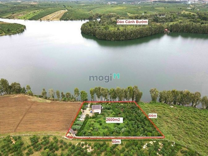 Hình ảnh Lô đất mặt hồ Cánh Bướm, Bảo Lộc View rất đẹp