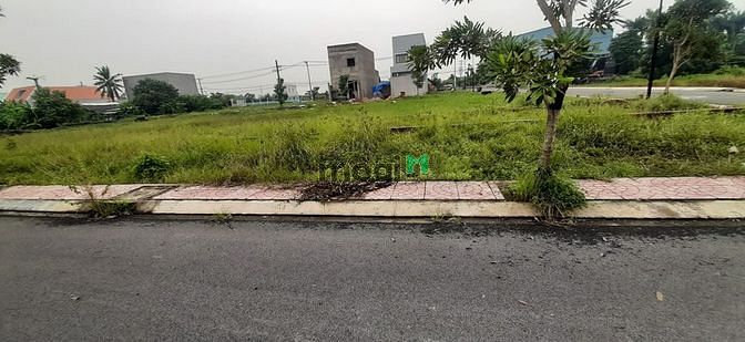 Hình ảnh Bán Đất Bình Chánh 150m2 , giá 2,5 tỷ
