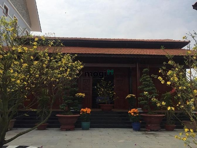 Hình ảnh Biệt Thự Phước Hiệp Củ Chi 5000m2 Chỉ 40 Tỷ TL