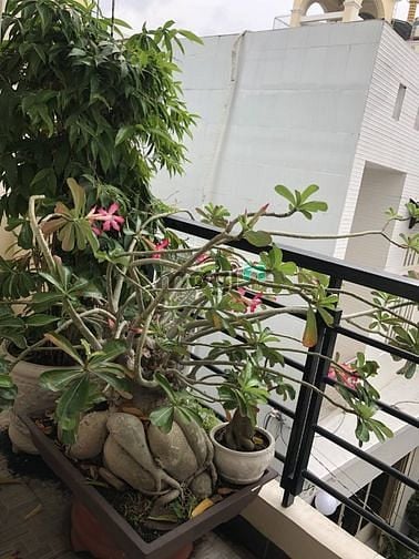 Hình ảnh Siêu phẩm Quận 4 - 61m2 - Nhà đẹp 4 tầng - Vị trí kinh doanh sầm uất.
