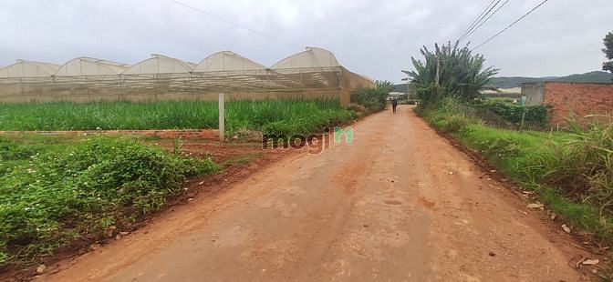 Hình ảnh Siêu phẩm gía F0 dành cho nhà Trang MB66.COM Chính Thức - MB 66 Uy Tín tại trục chính đường Suối Thông B