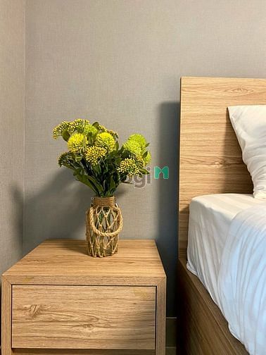 Hình ảnh 🎀2PN hàng hiếm Thảo điền - full nội thất