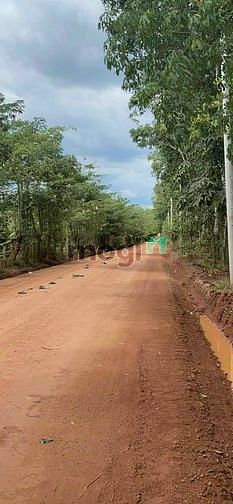 Hình ảnh 🏕TIỆN XÂY XƯỞNG_PHÂN LÔ_Bán 1.4Ha Đất Long Nguyên.