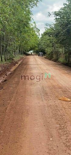 Hình ảnh 🏕TIỆN XÂY XƯỞNG_PHÂN LÔ_Bán 1.4Ha Đất Long Nguyên.