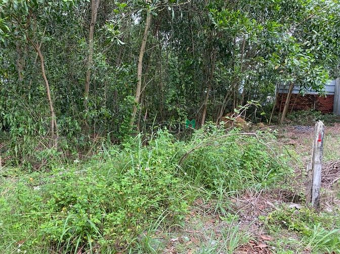Hình ảnh Cần tiền cưới vợ, bán rẻ lô đất sát đường Đồng Khởi. Giá 820tr